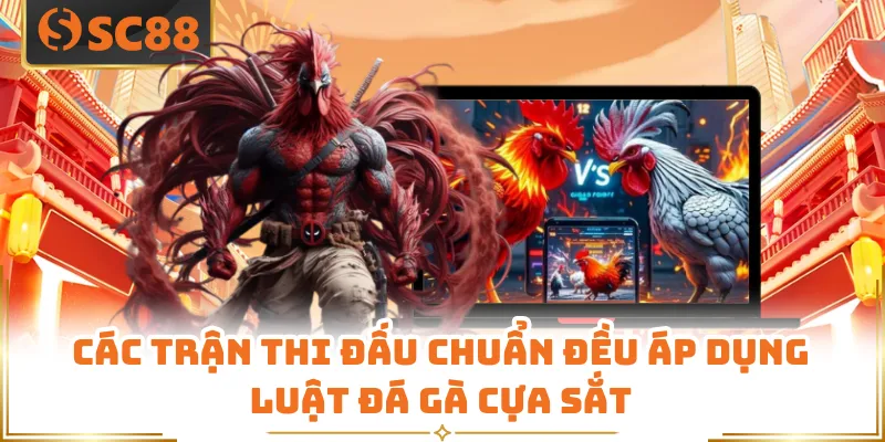 Các trận thi đấu chuẩn đều áp dụng luật đá gà cựa sắt
